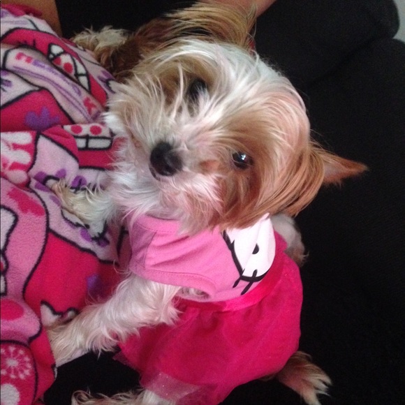 Meet your Posher, Pohlina - Picture 2 of 3